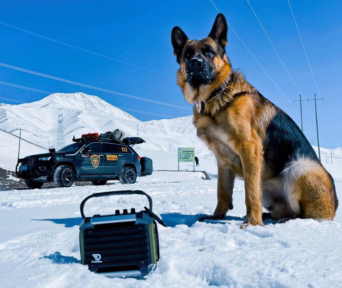@basecamp — winter shift